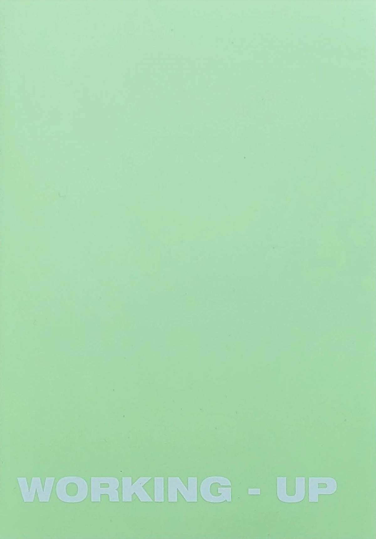 Caiet A5 48f M WUP cop PP 250mici 60g  verde pastel